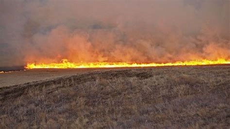 Wildfire Burns Through Grasslands National Park Cbc News