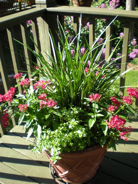Flower Planter June 2012 Container Flowers Flower Planters Outdoor