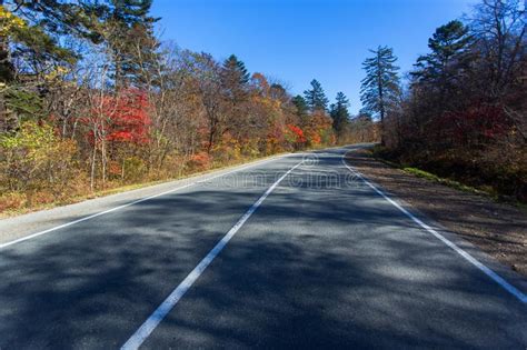 The Road In The Middle Of A Colorful Autumn Forest Stock Image Image
