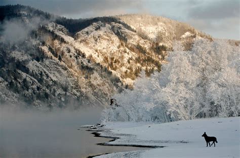 Cool Funny Pictures Yenisei River Seasons