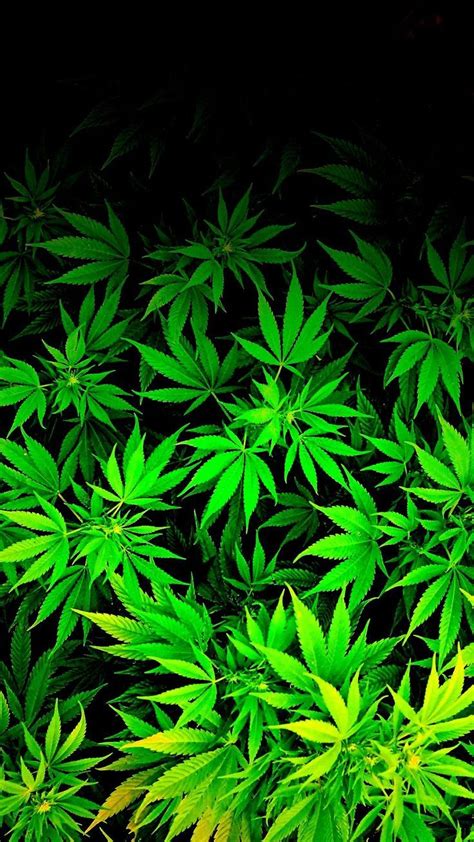 Tumblr is a place to express yourself, discover yourself, and bond over the stuff you love. HD Weed Widescreen 1080P Wallpapers - Top Free HD Weed ...