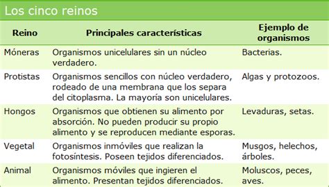 Estudiando Los Cinco Reinos De La Naturaleza