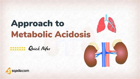Approach To Metabolic Acidosis Learn Acid Base Disorders Sqadia