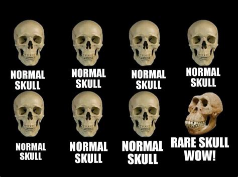 We Have The Same Skull Rdankmemes