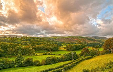 Greens Grass Clouds Trees Hills Field Uk Wales For Section
