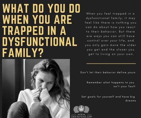 Your Guide To Dysfunctional Families