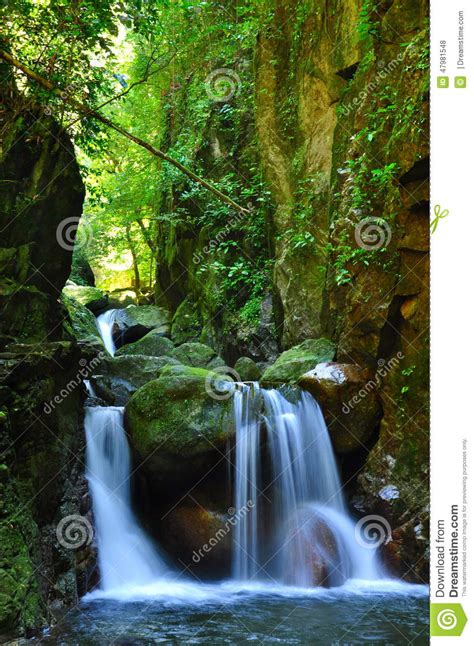 Cascade Falls Over Mossy Rocks Stock Photo Image Of Mountains Forest