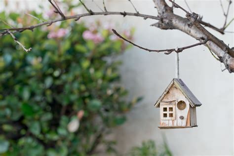 Great birdhouses for your garden or yard. Bird House Dimensions