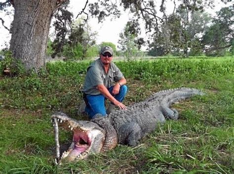 Hunter Bags 800 Pound Alligator Local News