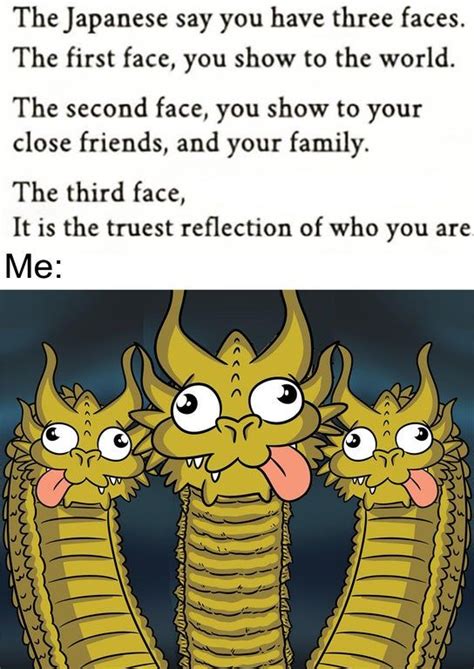 3 Face Dragon Mememe Memes All The Things Meme Memes Reflection