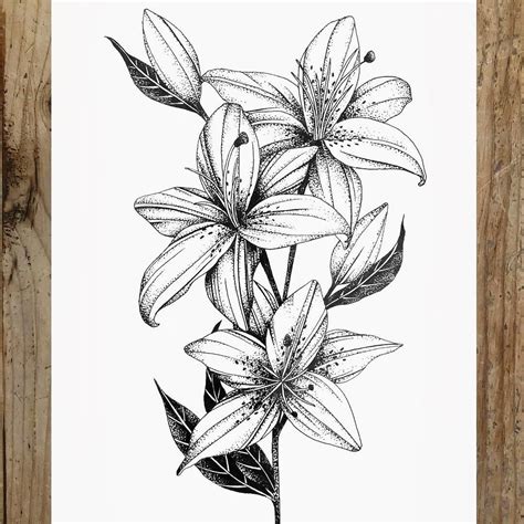 Steph Rostron ️ On Instagram “lilies Steph Rostron ️ On Instagram “lilies Lily Flower