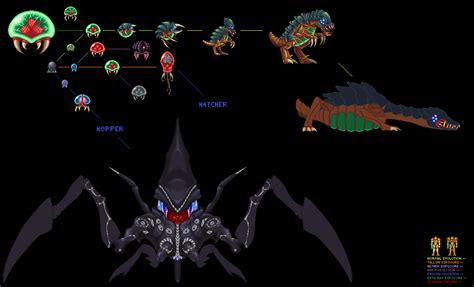 Image Metroid Evolution Chartpng Wikitroid Fandom Powered By Wikia