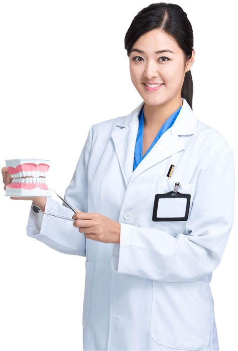 Female Dentist Transparent Png All Png All