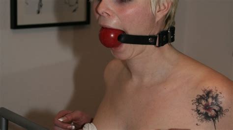Tit Predicament For Red Hibisca Splitter 01 Wmv Toaxxx The