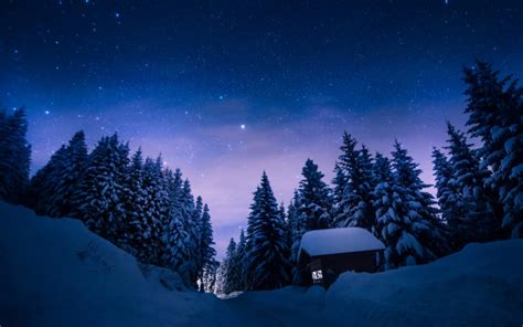 Nature Winter Snow Night Stars Trees Forest Cabin
