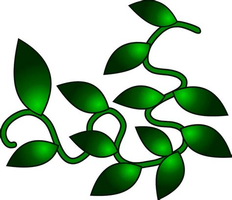 15 Corner Vine Vector Images Leafy Vines Clip Art Simple Vine Corner