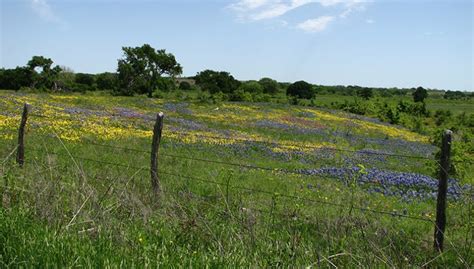 Partners For Conservation Blackland Prairie Texas