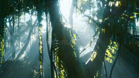 Deep Tropical Jungle Rainforest In Fog Stock Photo Image Of Natural