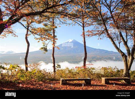 Mt Fuji With Fall Colors In Japan For Adv Or Others Purpose Use Stock