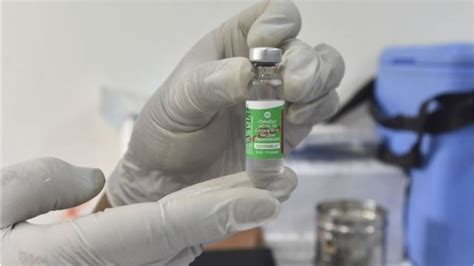 India Produksi Vaksin Covid 19 Covishield Dan Covaxin Apa Bedanya