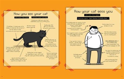 How To Tell If Your Cat Is Plotting To Kill You By The Oatmeal Matthew