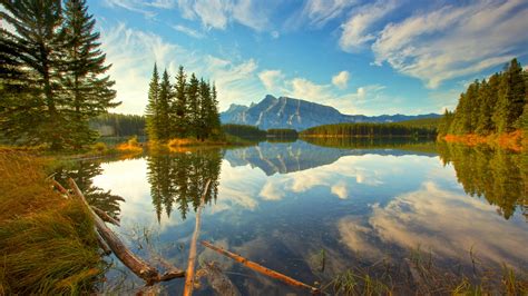 Green Trees Grass And Landscape View Of Mountain Reflection On Water