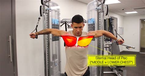 Chest Workout For Mass 5 Exercises To Follow For Massive Gains Chest