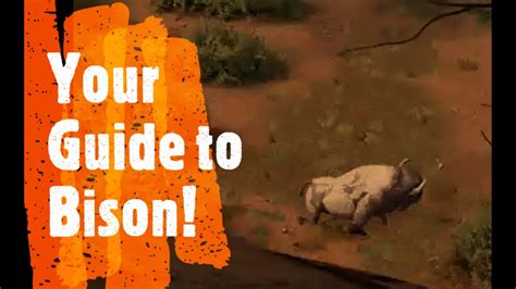 Your Guide To Bison Quick And Simple Hunting Info Hunting Simulator