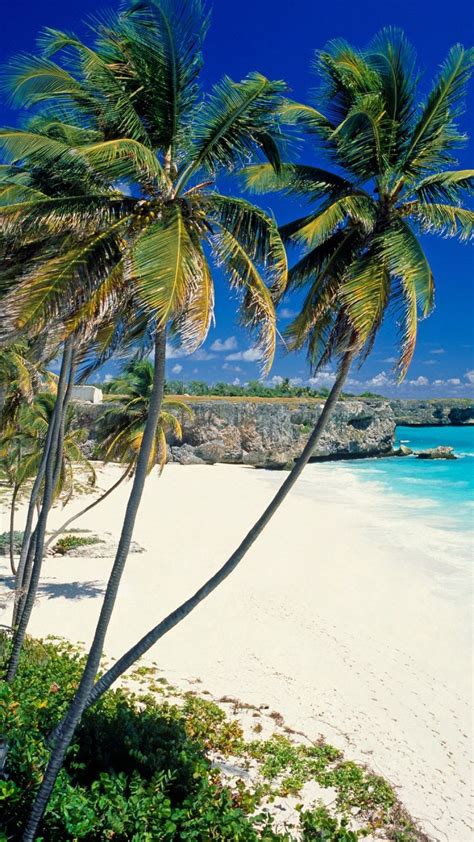 Download Wallpaper 720x1280 Beach Tropics Sea Sand Palm Trees