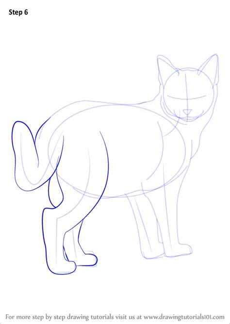 learn how to draw a kitten cats step by step drawing tutorials