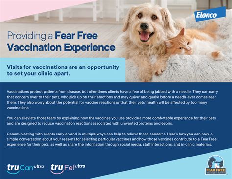 Providing a Fear Free Vaccination Experience (with Elanco)
