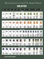 Free Rank Insignia of The U.S. Armed Forces - PDF | 5222KB | 2 Page(s)