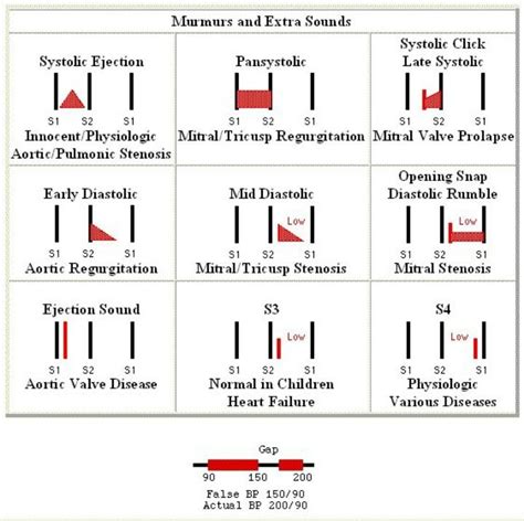 Cardiac Murmurs And Extra Heart Sounds Nursing Assessment Nursing