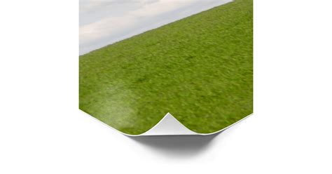 Green Grass Poster Zazzle