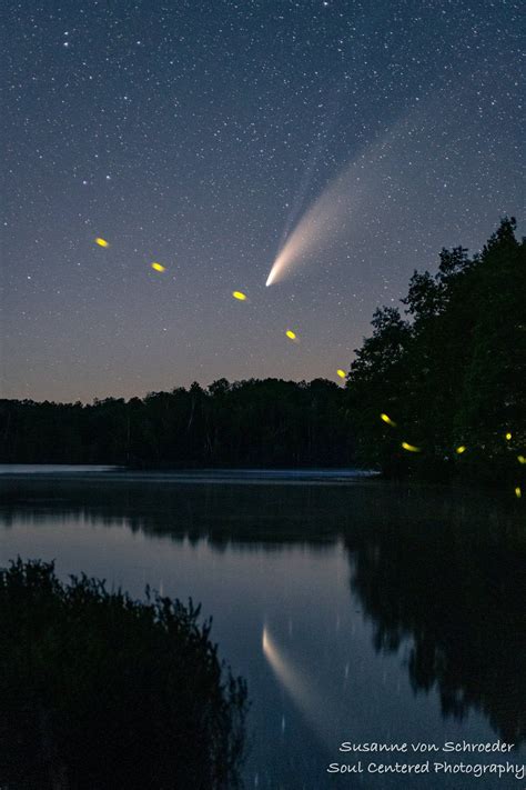 Astro Photography Comet Neowise Celestial Visitor Firefly Etsy In
