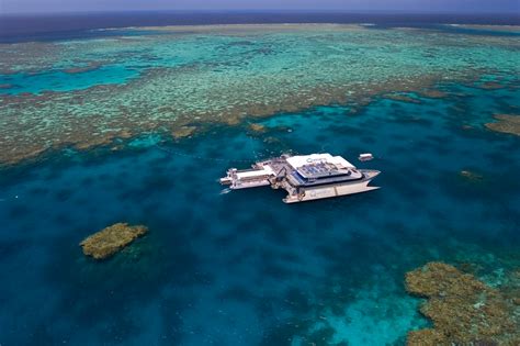 Port Douglas Reef Tours Great Barrier Reef Tour Snorkel Dive