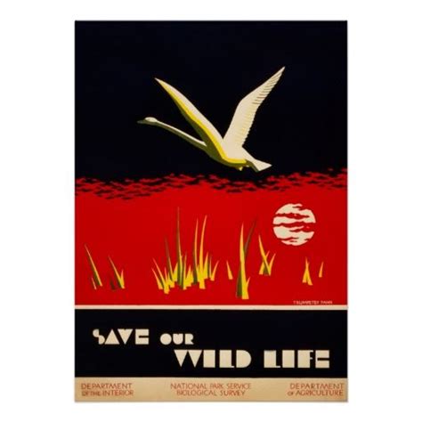 Vintage Restored Save Our Wild Life Trumpeter Swan Poster