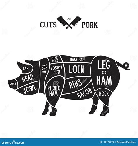 Cortes De Carne Cerdo Diagramas De Carnicería Régimen De Cerdo Cerdo