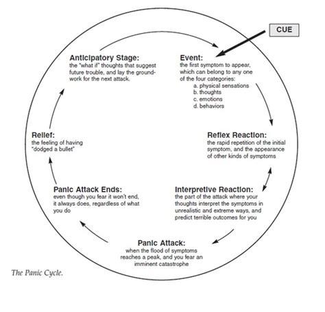 Psychology The Panic Cycle