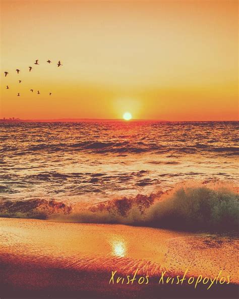 A Magical Sunset 🌇 On The Beach 🌊 With Flying Birds 🐦 🐦 🐦 🐦 🐦 🐦 👌☺💖 Sunset Love Sunset Birds