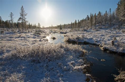 Sidetracked Short Breaks Urho Kekkonen National Park Lapland Finland