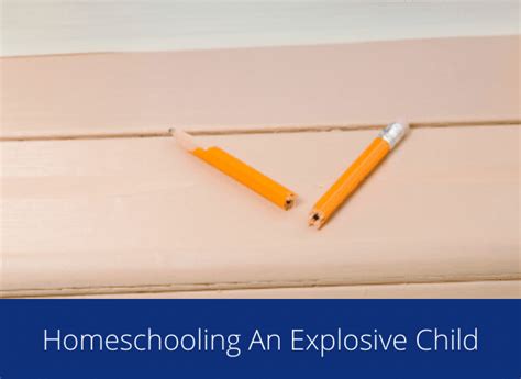 Homeschooling An Explosive Child Different By Design Learning