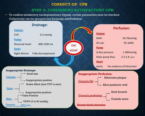 Three Minute Review Essentials Of Cardiopulmonary Bypass Ctsnet