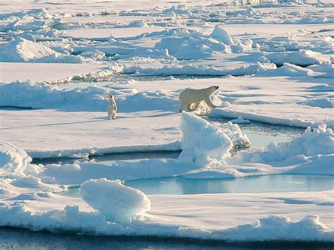 Sea Ice In Melting Arctic Dwindles To Another Record Low Inside