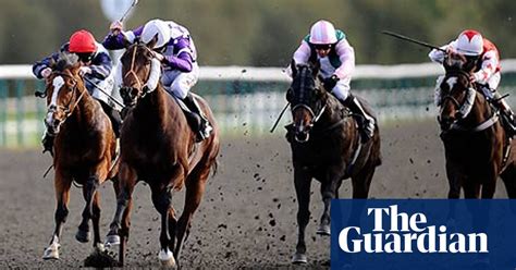 Talking Horses Best Bets At Lingfield In Our Daily Racing Blog Horse