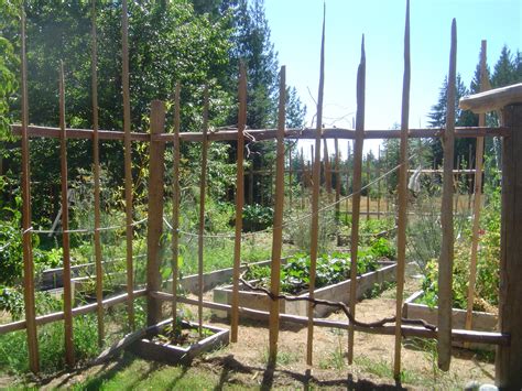 How To Build A Deer Prooffunky Garden Enclosure Fence Shoe String
