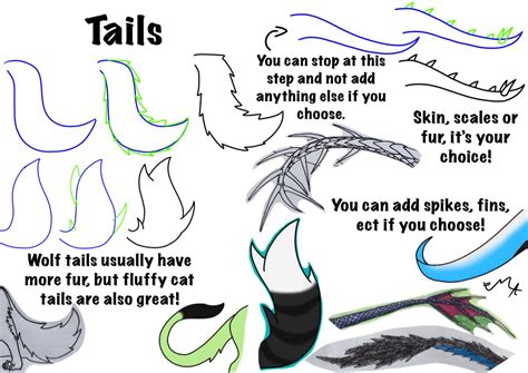 Animal Tail Drawing Tips And Ideas