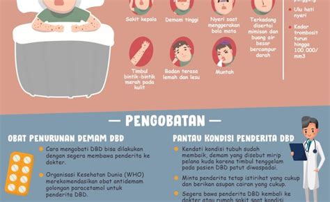 Infografik Cara Pencegahan Dan Mengobati Demam Berdarah Dengue Dbd