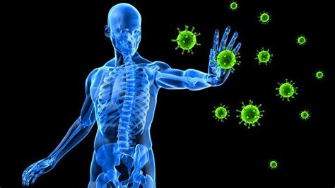 Coronavirus And A Healthy Nervous System Immunity And Body Blog