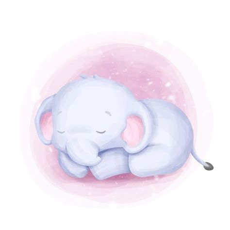 Cute Baby Born Elephant Sleep Adorable Animal Art Png And Vector